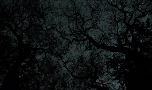 The Midnight Enigma